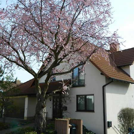 Ferienwohnung Kiko Zornheim Zewnętrze zdjęcie